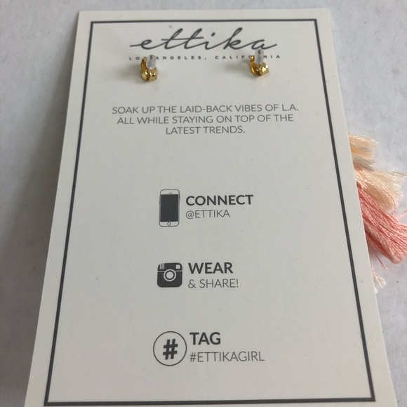 Fabfitfun ettika Tassel earrings pink gold 18k NWT - Picture 5 of 6